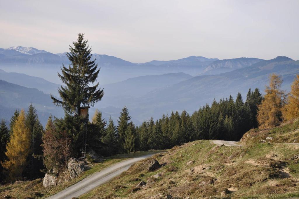 Gasthaus Steinberg Westendorf Bagian luar foto